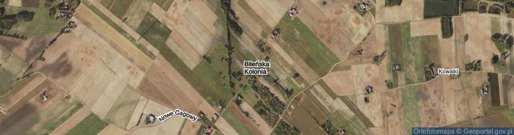 Zdjęcie satelitarne Bileńska Kolonia ul.